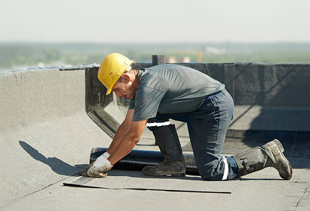 Best Cellulose Insulation in Westport Village, CT